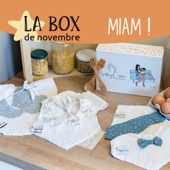 Protégé : La BabyCréa box Le Repas de Léa – Le tuto